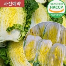 [김장준비] HACCP인증 해남 최상급 절임배추 20kg_H001